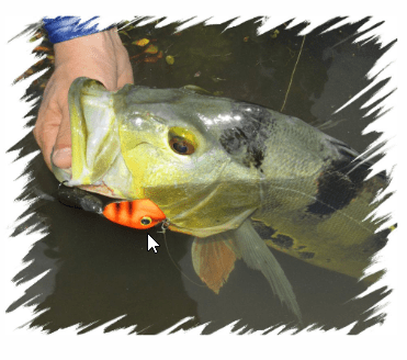 Isca Artificial OCL Cururu Jig Head Sapo - Imagem 2